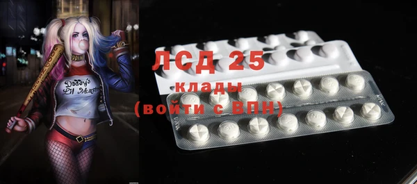 мяу мяу мука Беломорск