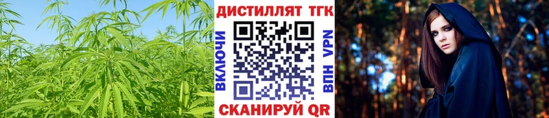 ТГК Wax  Онега 