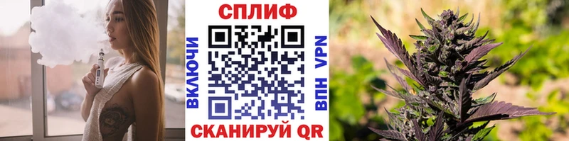 Марихуана сатива  мориарти формула  Онега  blacksprut зеркало 